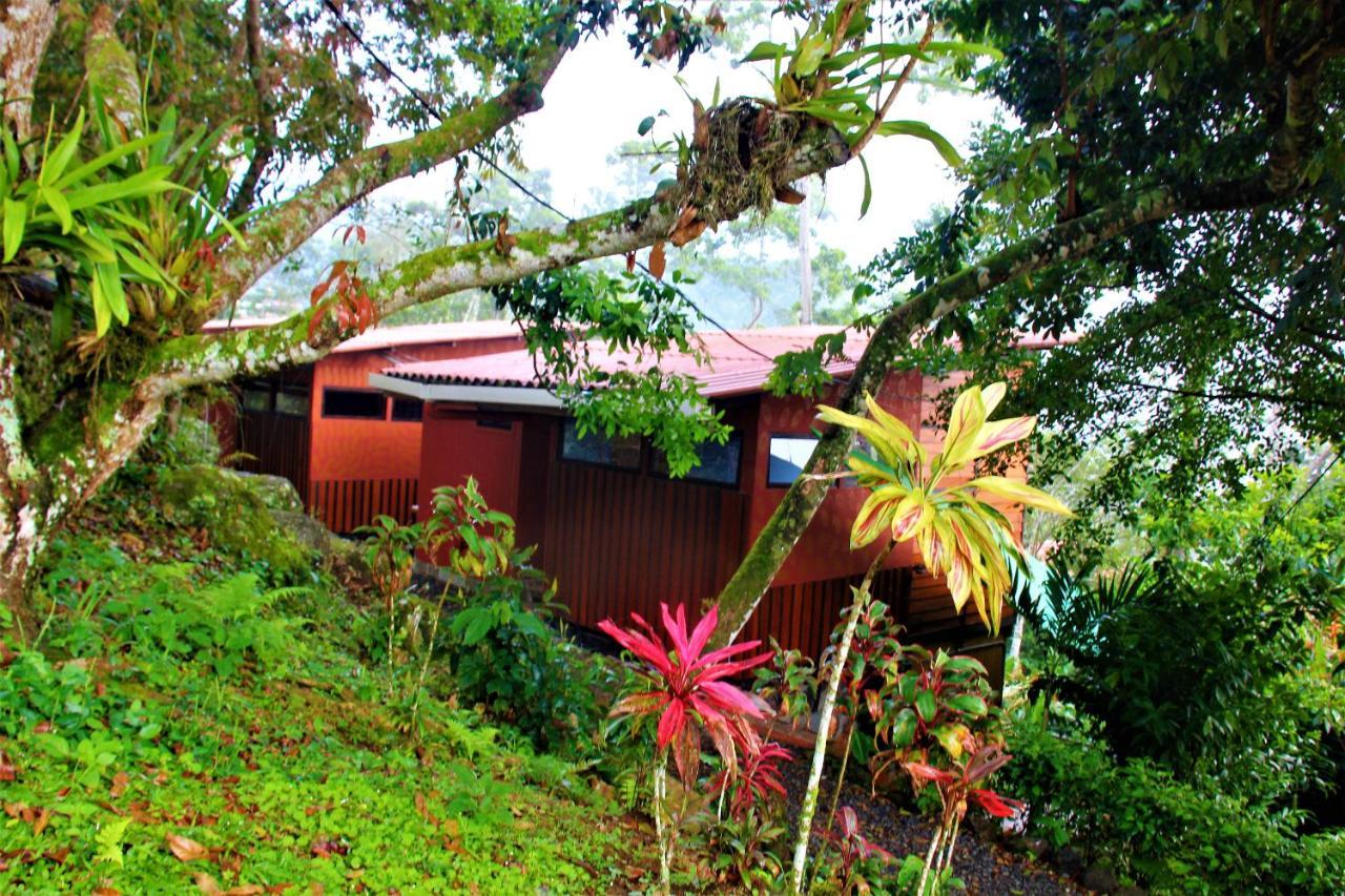 Casitas Eco Bambu Villa Cartago Dış mekan fotoğraf