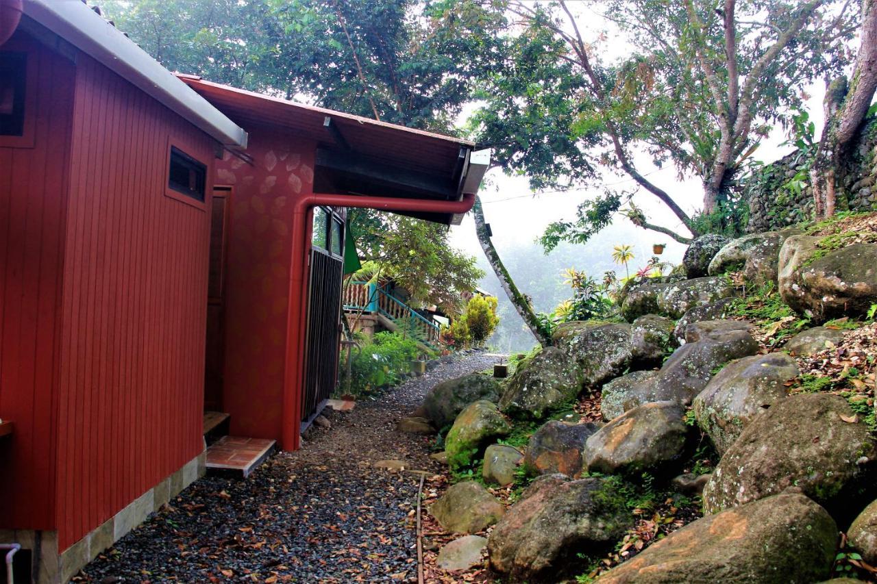 Casitas Eco Bambu Villa Cartago Dış mekan fotoğraf