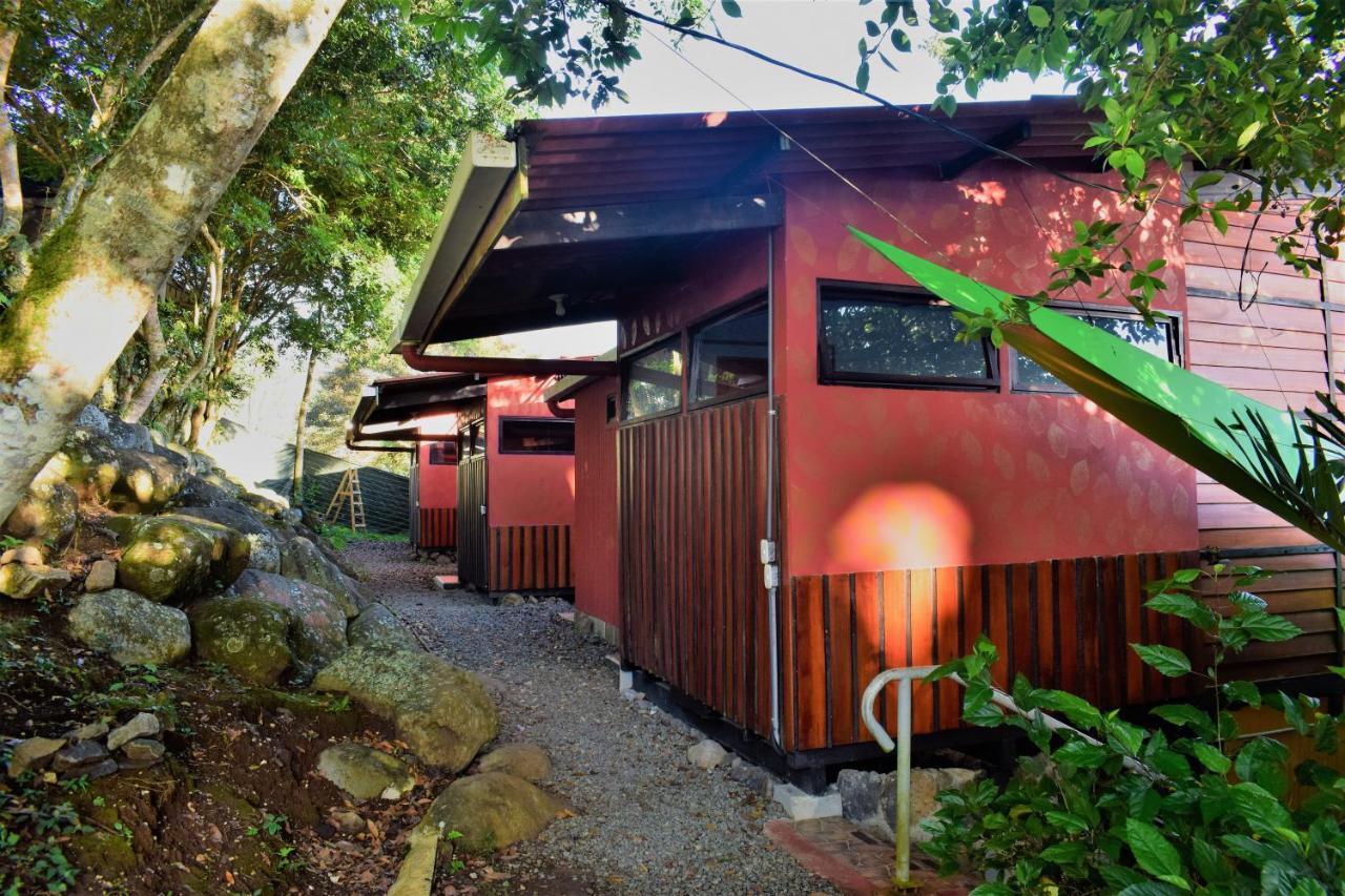 Casitas Eco Bambu Villa Cartago Dış mekan fotoğraf