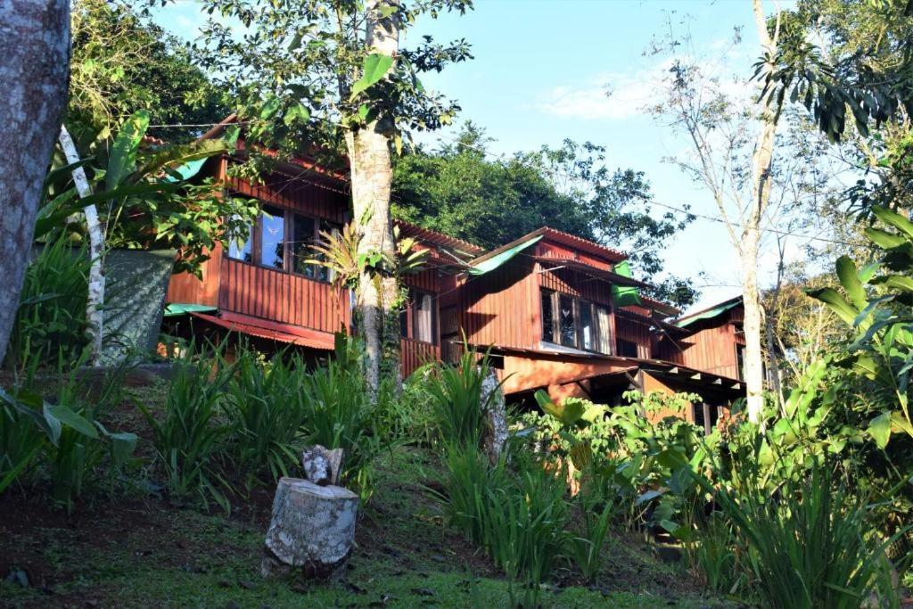 Casitas Eco Bambu Villa Cartago Dış mekan fotoğraf