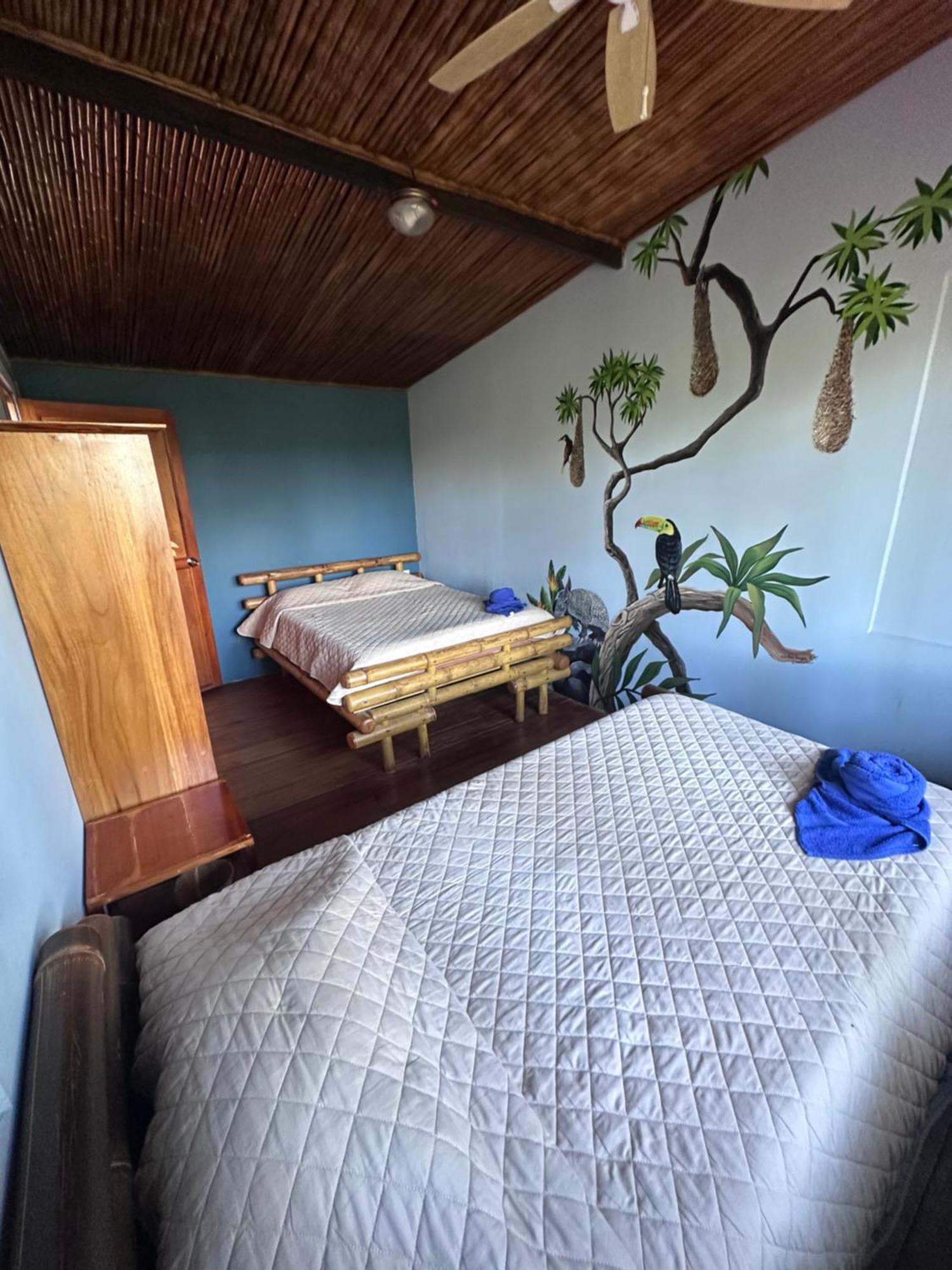 Casitas Eco Bambu Villa Cartago Dış mekan fotoğraf